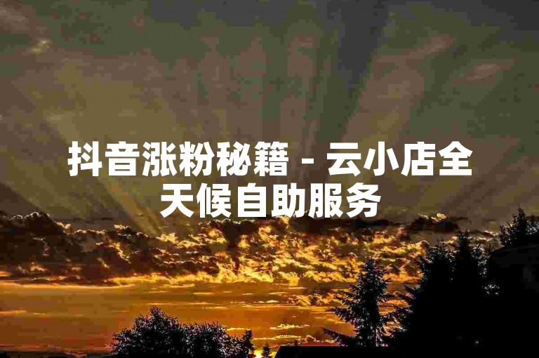 抖音涨粉秘籍 - 云小店全天候自助服务