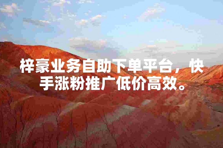 梓豪业务自助下单平台，快手涨粉推广低价高效。