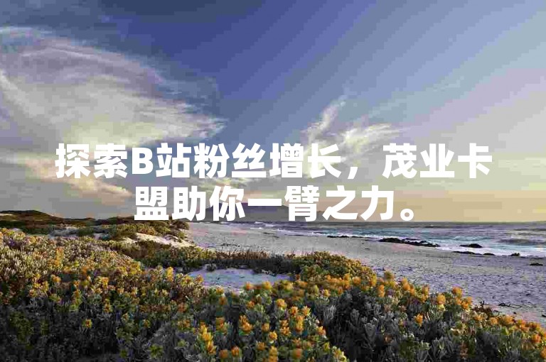 探索B站粉丝增长，茂业卡盟助你一臂之力。