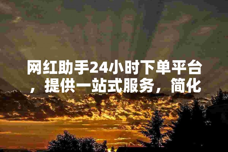 网红助手24小时下单平台，提供一站式服务，简化合作流程。