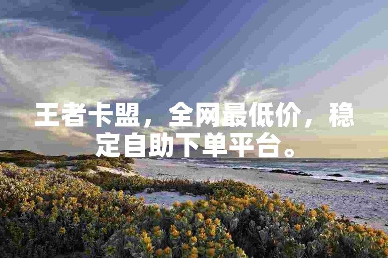 王者卡盟，全网最低价，稳定自助下单平台。