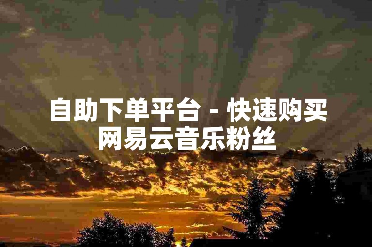 自助下单平台 - 快速购买网易云音乐粉丝