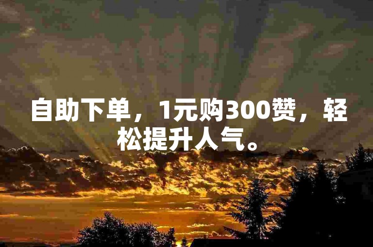 自助下单，1元购300赞，轻松提升人气。