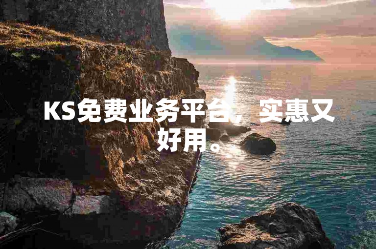 KS免费业务平台，实惠又好用。