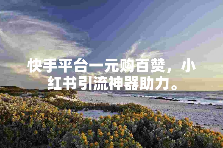 快手平台一元购百赞，小红书引流神器助力。