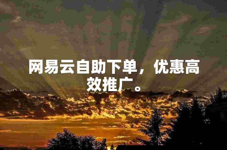 网易云自助下单，优惠高效推广。