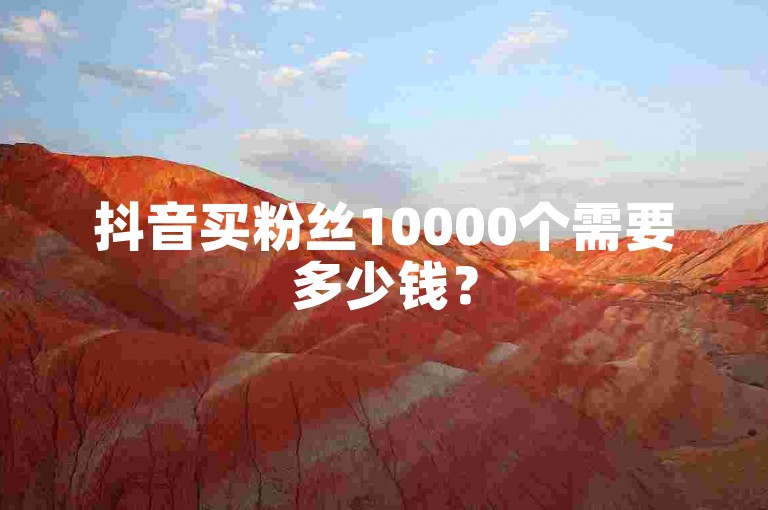 抖音买粉丝10000个需要多少钱？