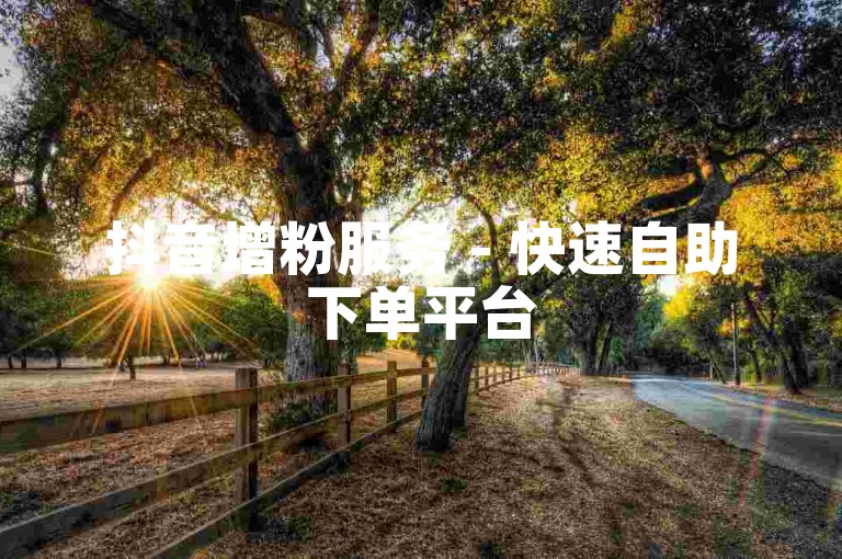 抖音增粉服务 - 快速自助下单平台