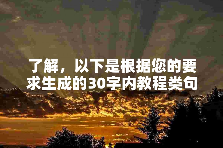 了解，以下是根据您的要求生成的30字内教程类句子，，KS自助下单平台，一键操作，轻松快捷，助您业务高效运转。