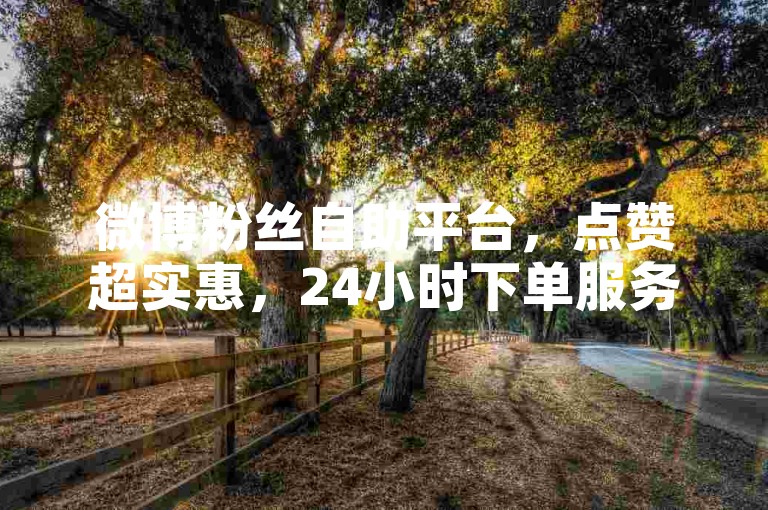 微博粉丝自助平台，点赞超实惠，24小时下单服务。