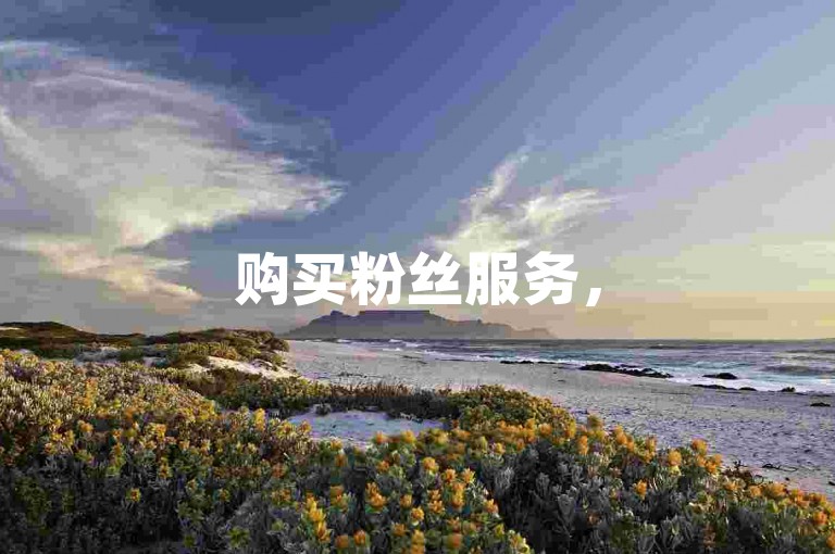 购买粉丝服务，5元获取1000个关注和QQ点赞。