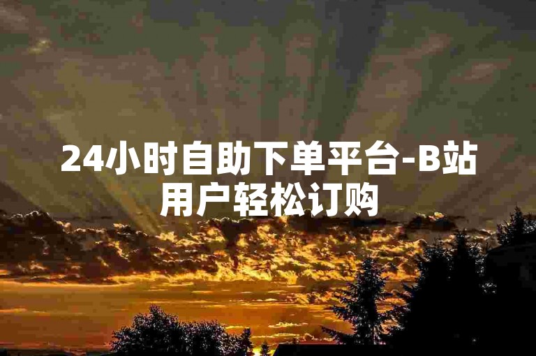 24小时自助下单平台-B站用户轻松订购