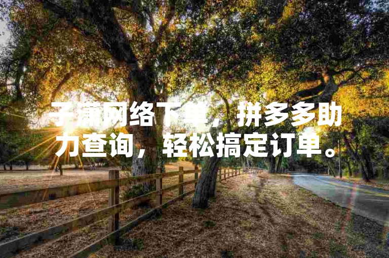 子潇网络下单，拼多多助力查询，轻松搞定订单。