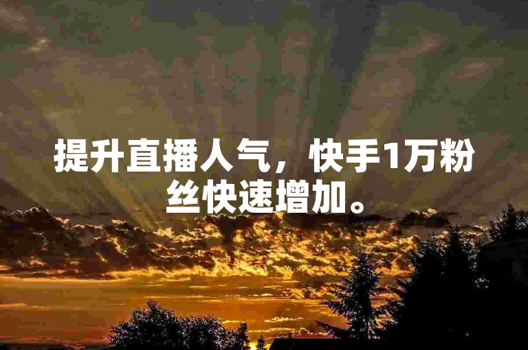 提升直播人气，快手1万粉丝快速增加。