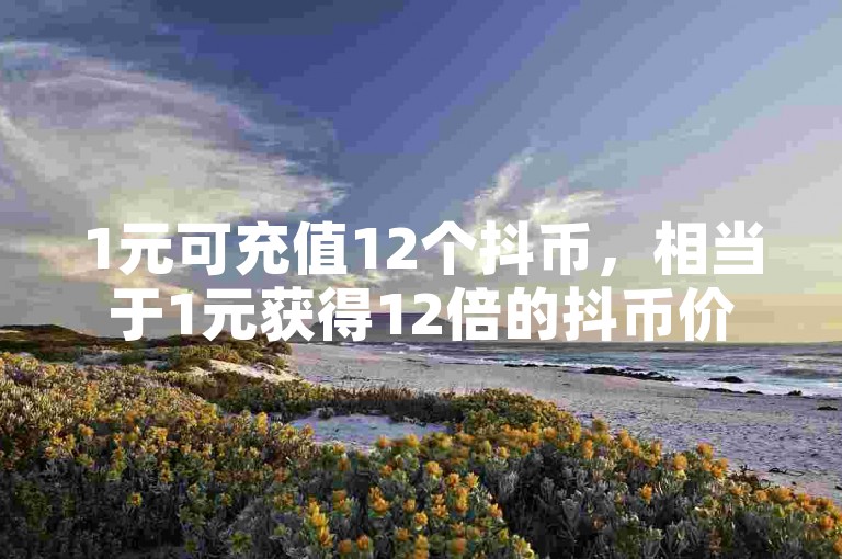 1元可充值12个抖币，相当于1元获得12倍的抖币价值。