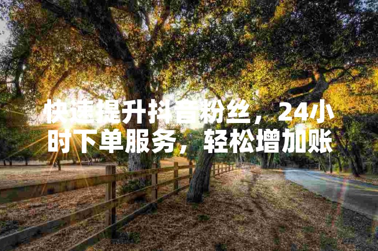 快速提升抖音粉丝，24小时下单服务，轻松增加账号影响力。