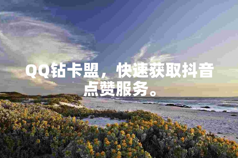 QQ钻卡盟，快速获取抖音点赞服务。