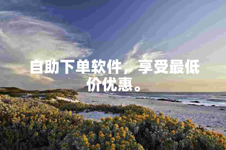 自助下单软件，享受最低价优惠。