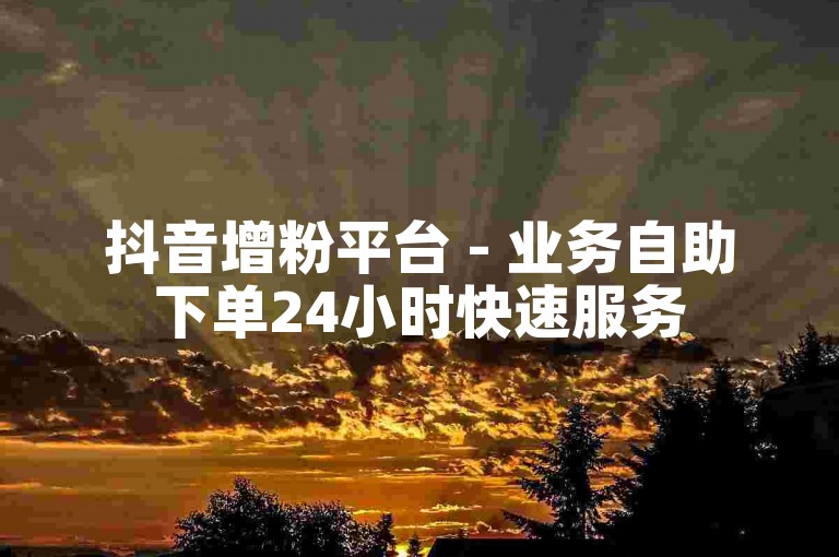 抖音增粉平台 - 业务自助下单24小时快速服务