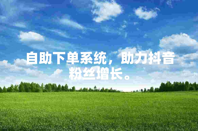 自助下单系统，助力抖音粉丝增长。
