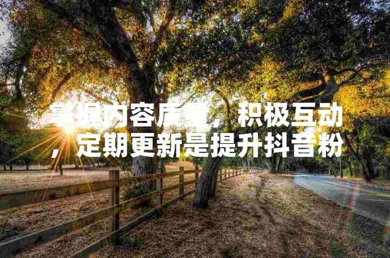 掌握内容质量，积极互动，定期更新是提升抖音粉丝的关键。