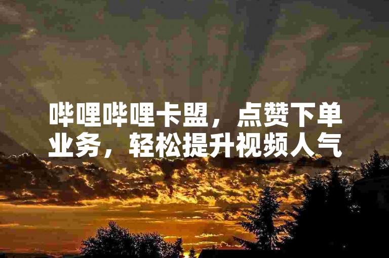 哔哩哔哩卡盟，点赞下单业务，轻松提升视频人气。