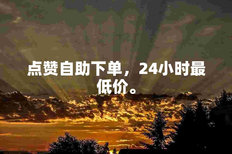 点赞自助下单，24小时最低价。