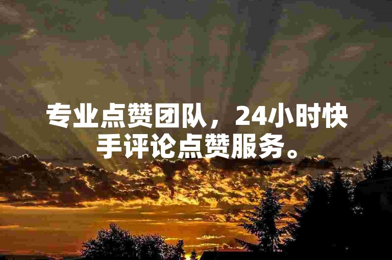 专业点赞团队，24小时快手评论点赞服务。