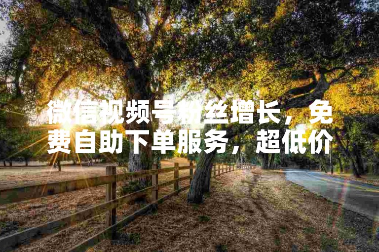 微信视频号粉丝增长，免费自助下单服务，超低价优惠。