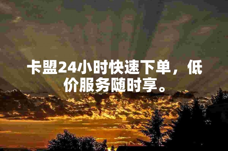 卡盟24小时快速下单，低价服务随时享。
