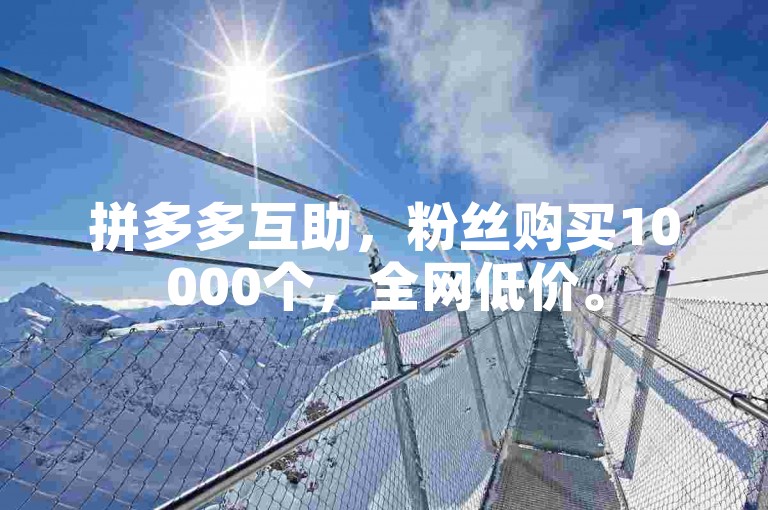 拼多多互助，粉丝购买10000个，全网低价。