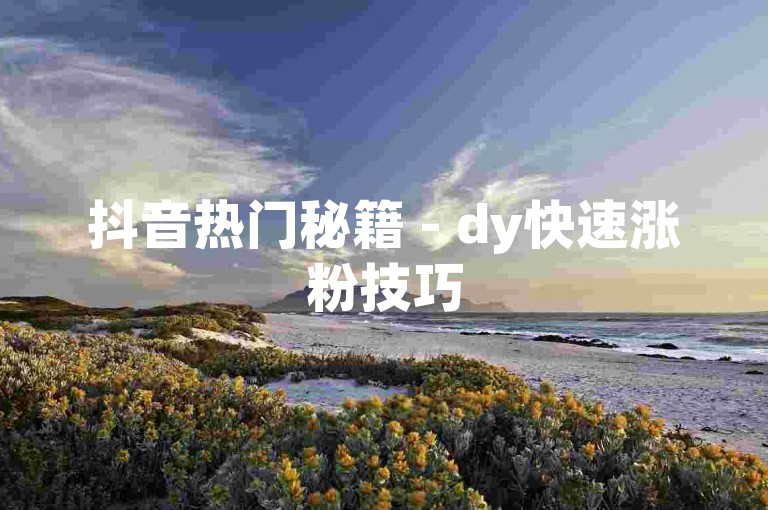 抖音热门秘籍 - dy快速涨粉技巧