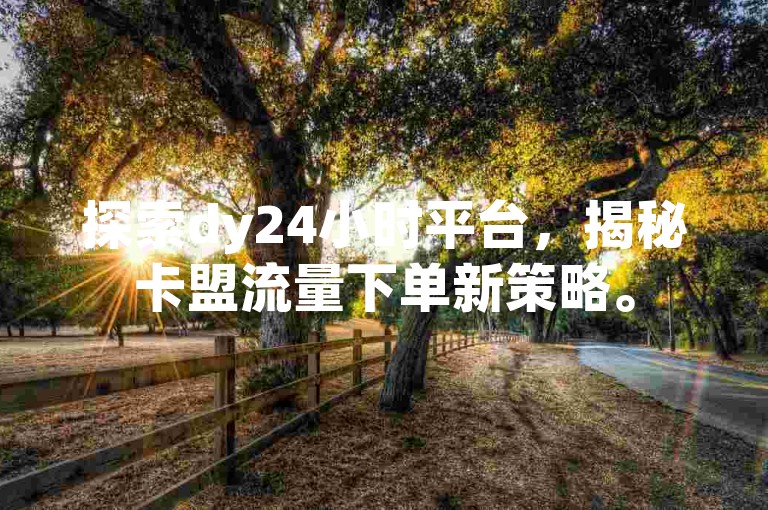 探索dy24小时平台，揭秘卡盟流量下单新策略。