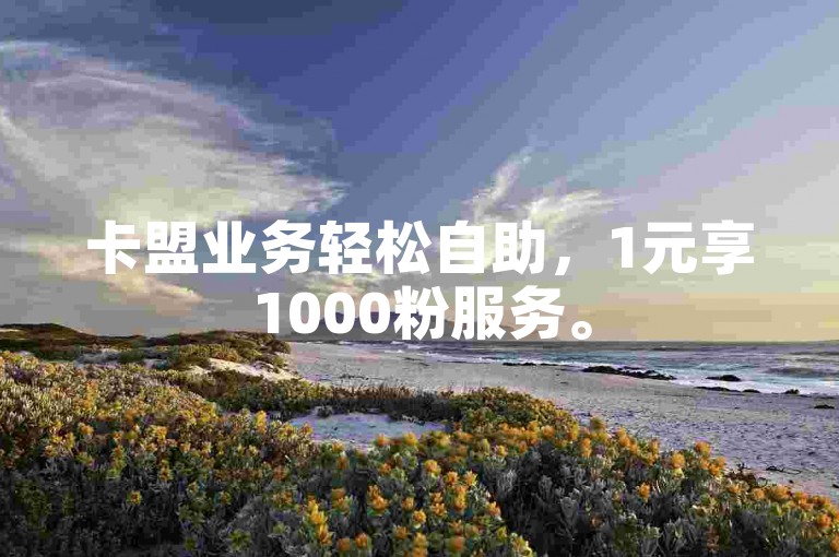 卡盟业务轻松自助，1元享1000粉服务。