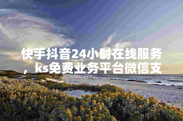 快手抖音24小时在线服务，ks免费业务平台微信支付。