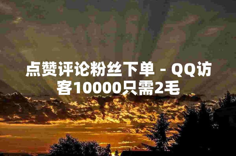 点赞评论粉丝下单 - QQ访客10000只需2毛