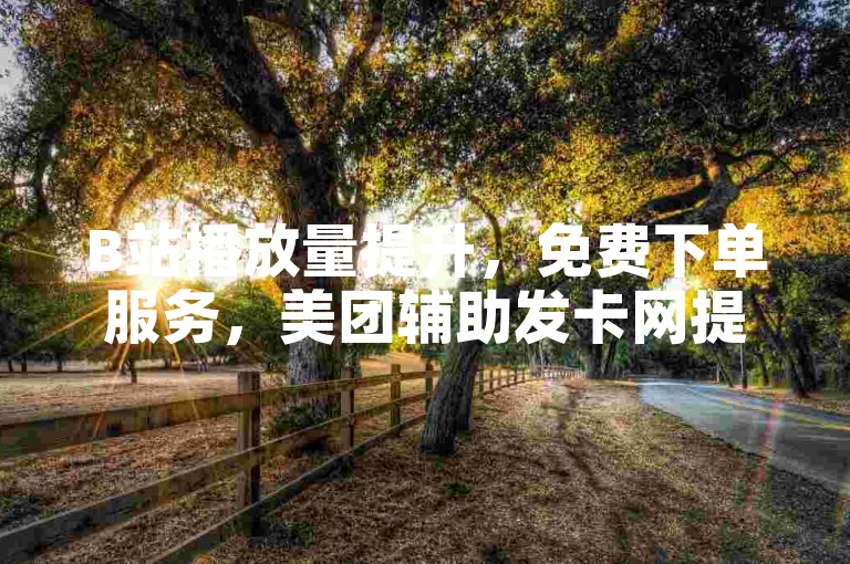 B站播放量提升，免费下单服务，美团辅助发卡网提供支持。