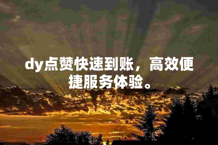 dy点赞快速到账，高效便捷服务体验。