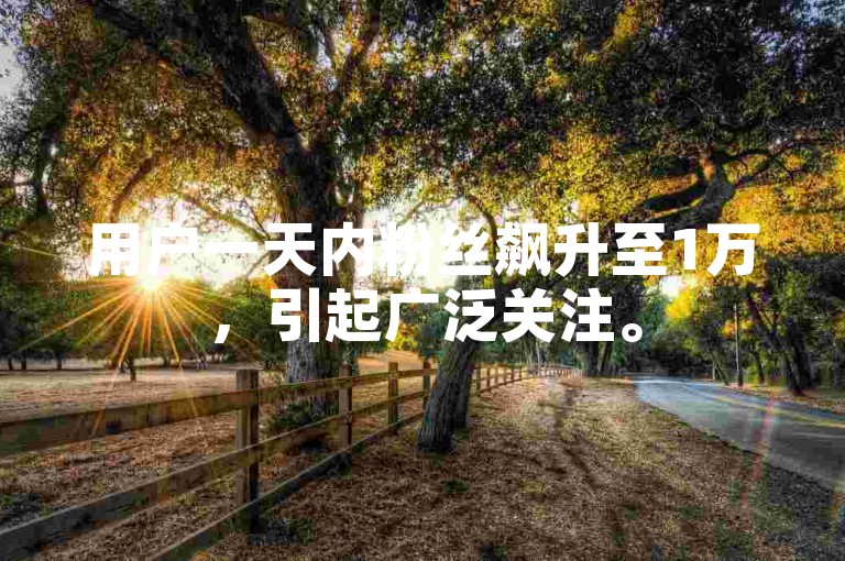 用户一天内粉丝飙升至1万，引起广泛关注。