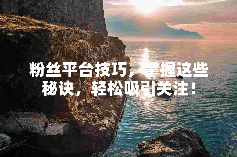 粉丝平台技巧，掌握这些秘诀，轻松吸引关注！