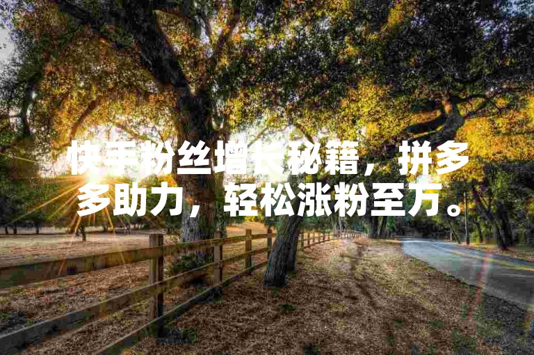 快手粉丝增长秘籍，拼多多助力，轻松涨粉至万。