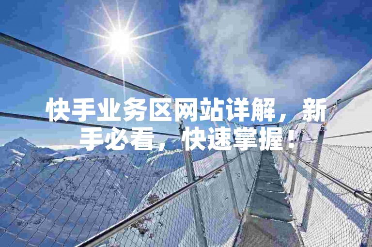 快手业务区网站详解，新手必看，快速掌握！