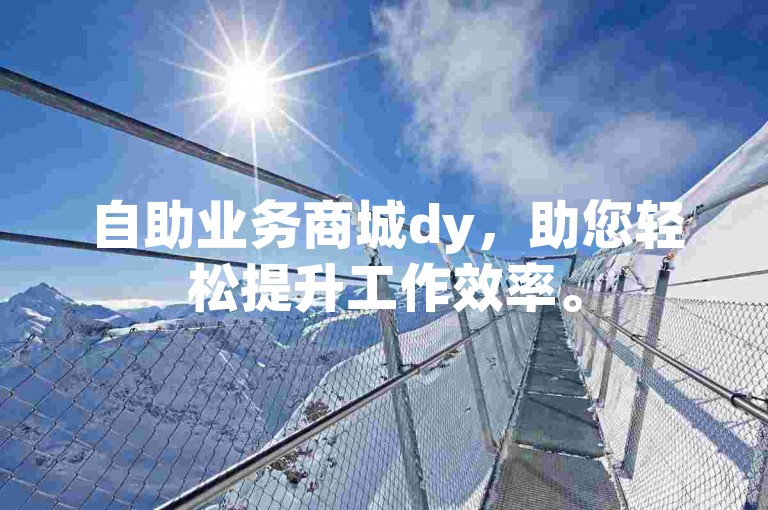 自助业务商城dy，助您轻松提升工作效率。
