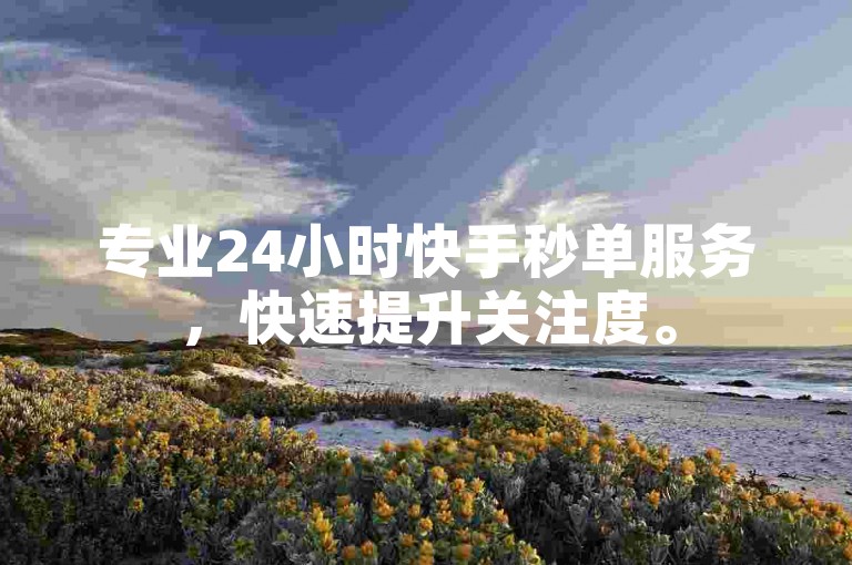 专业24小时快手秒单服务，快速提升关注度。