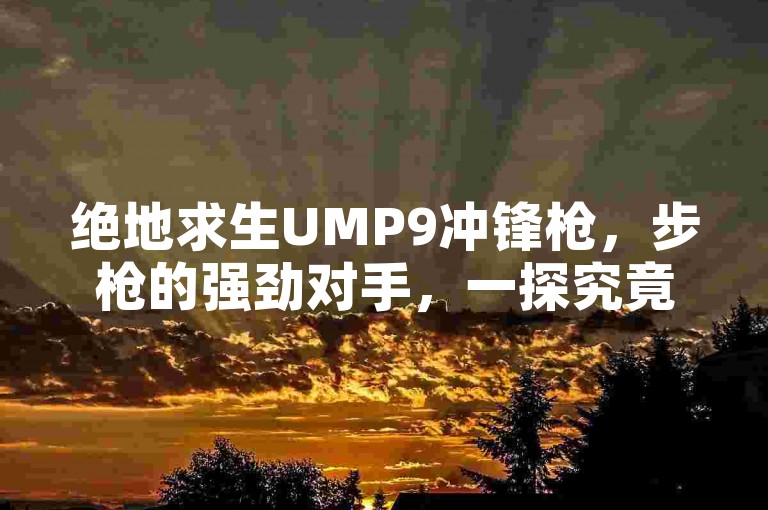 绝地求生UMP9冲锋枪，步枪的强劲对手，一探究竟。