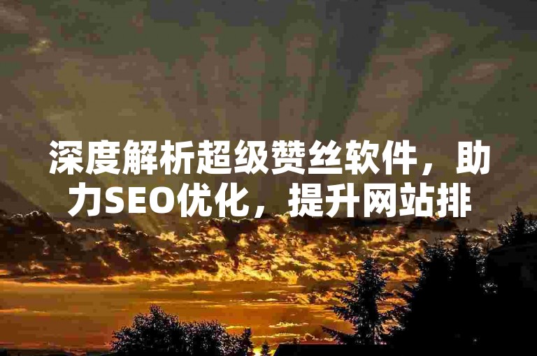 深度解析超级赞丝软件，助力SEO优化，提升网站排名！