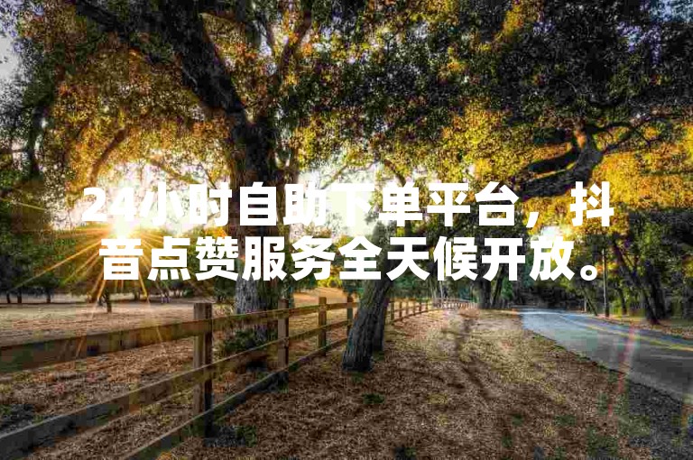 24小时自助下单平台，抖音点赞服务全天候开放。