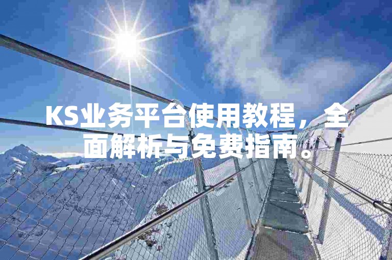 KS业务平台使用教程，全面解析与免费指南。