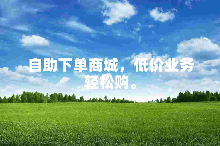 自助下单商城，低价业务轻松购。