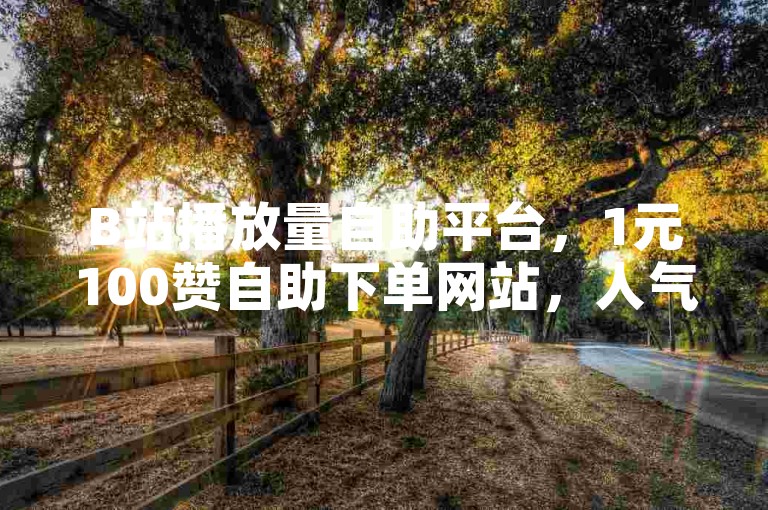 B站播放量自助平台，1元100赞自助下单网站，人气值刷网站。